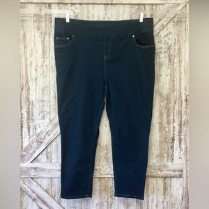 Woman Within Pull On Stretch Waist Skinny Jeans